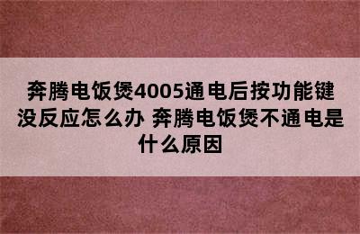 奔腾电饭煲4005通电后按功能键没反应怎么办 奔腾电饭煲不通电是什么原因